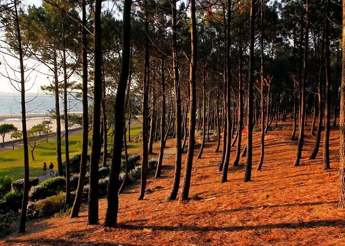 L&b Pereire 6 Pers, 700m Pereire Holiday home